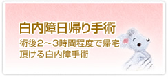 白内障日帰り手術 入院術後2～3時間程度で帰宅頂ける白内障手術