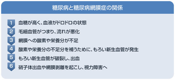 糖尿病と糖尿病網膜症の関係　1.血糖が高く、血液がドロドロの状態 2.毛細血管がつまり、流れが悪化 3.網膜への酸素や栄養分が不足 4.酸素や栄養分の不足分を補うために、もろい新生血管が発生 5.もろい新生血管が破裂し、出血 6.硝子体出血や網膜剥離を起こし、視力障害へ